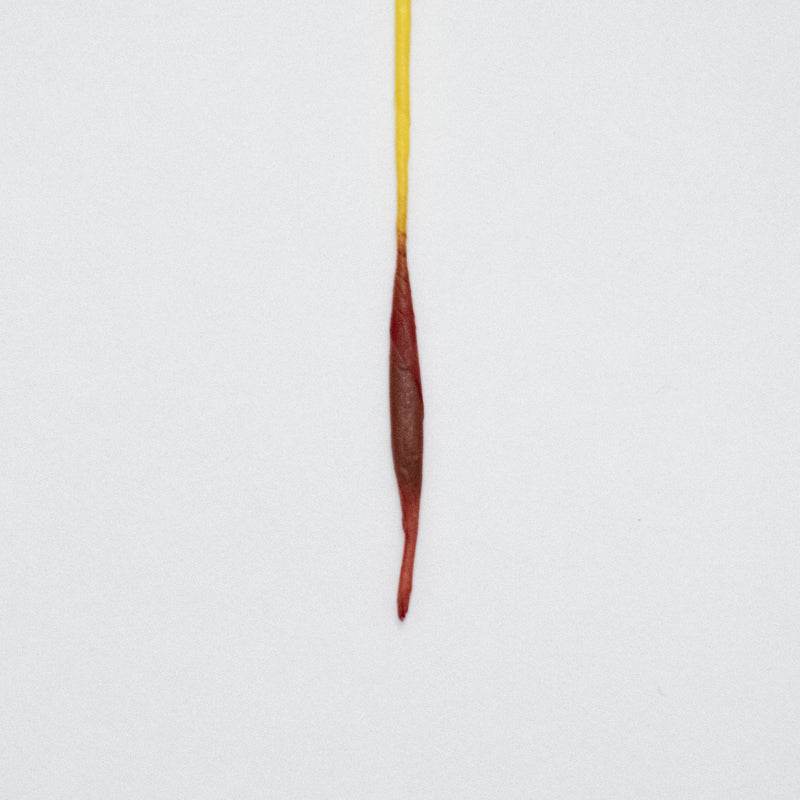 線香花火