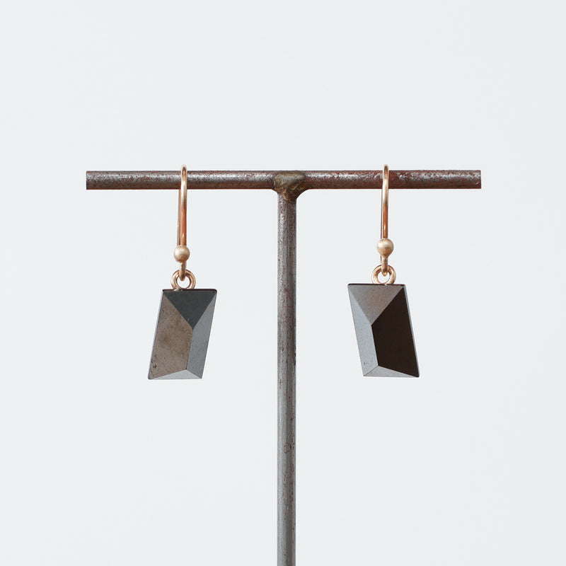 Earrings Gems