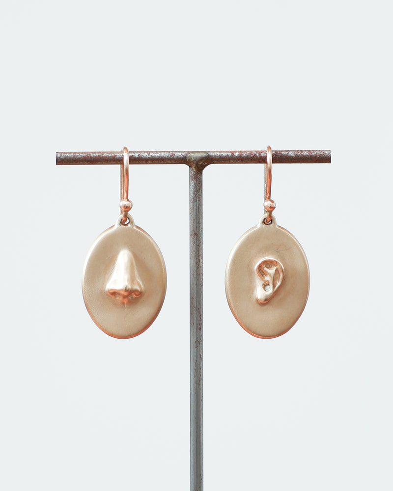 Earrings Ear / Nose