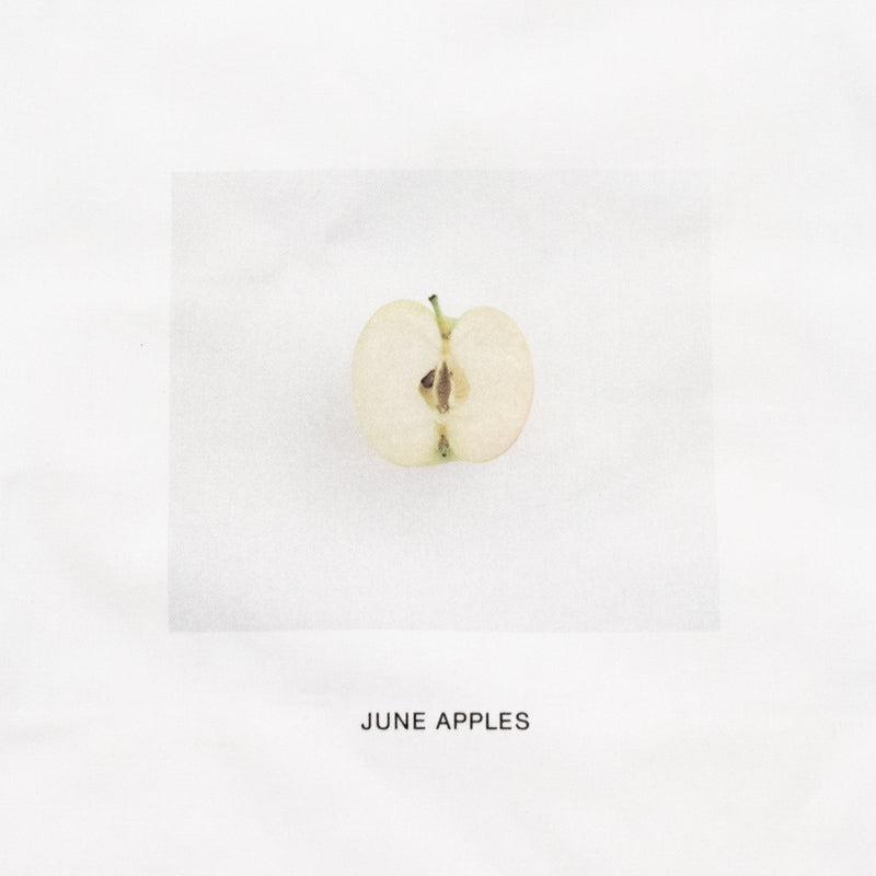 print bag (JUNE APPLES)