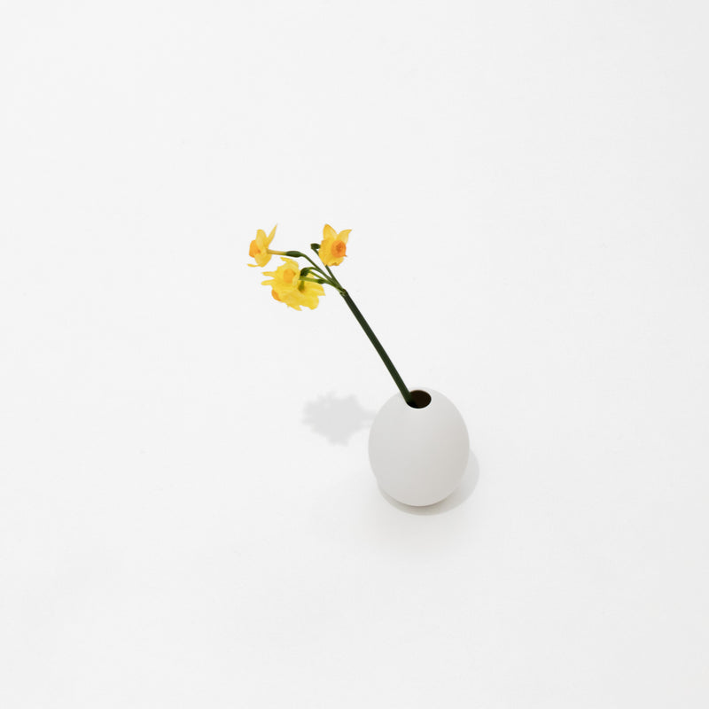 egg vase