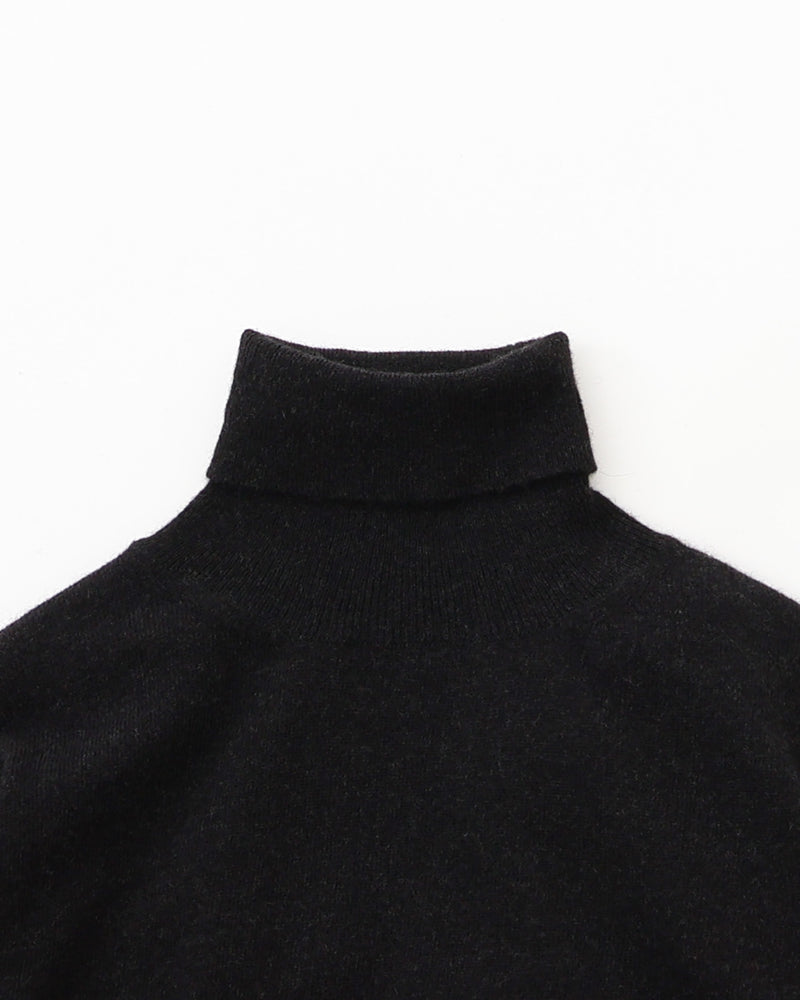 Cashmere 14G Knit - Turtleneck